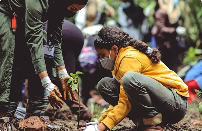 Sustainability slide 1